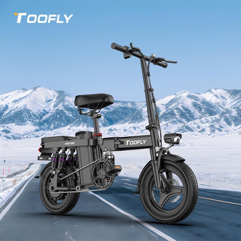 Toofly E - Bike Klapprad Elektrofahrräder - E - Bike mit 48V 15Ah Abnehmbar Akku - CAPIMURI